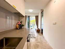 Amber Park (D15), Condominium #569728711